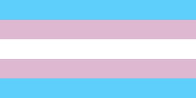 Altos índices de violência, baixa expectativa de vida e falta de oportunidade para o trabalho marcam a vida de transexuais e travestis.